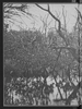 1966%20simoc_001_0-Thumbnail Image.png